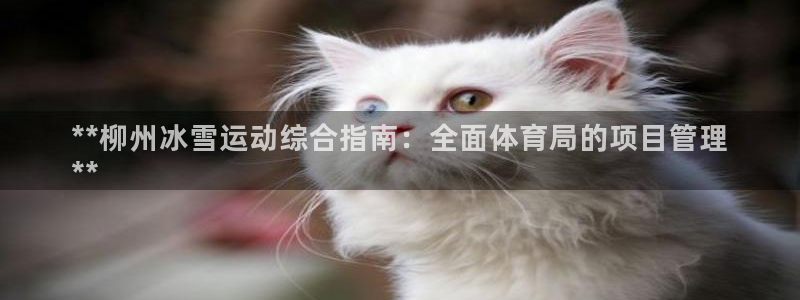 必一体育APP：**