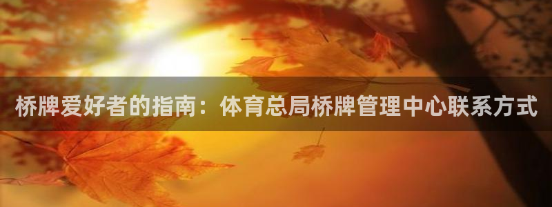 必一体育下载意思：桥