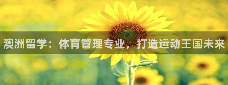 必一体育官方app下