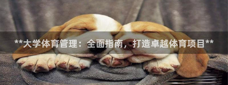 必一体育官网网址：*