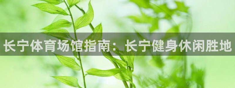 必一体育app官方下