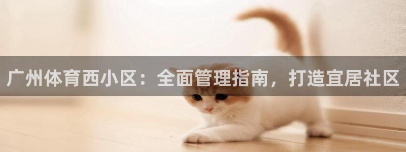 必一运动 b 体育素
