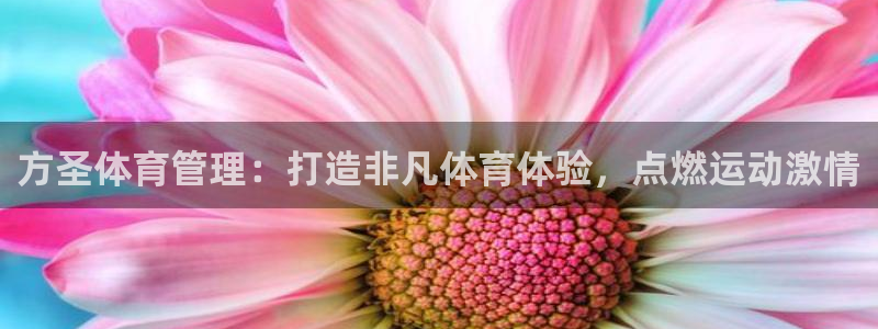 必一体育bsport