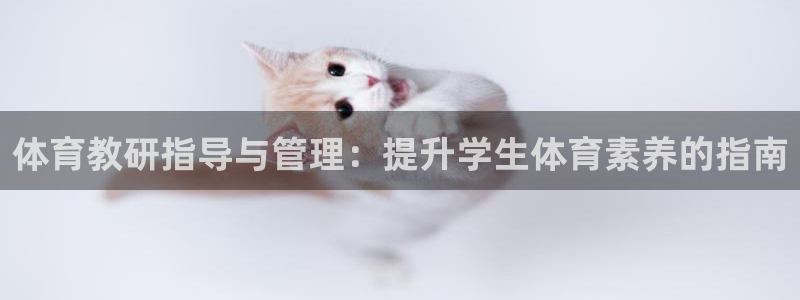 Bsport体育必一