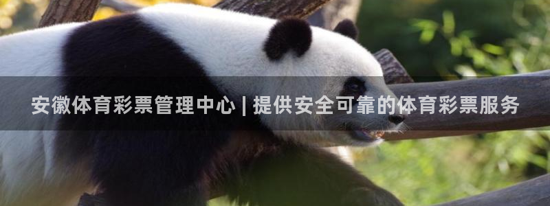 必一运动体育：安徽体育彩票管理中心 | 提供安全可靠的体育彩