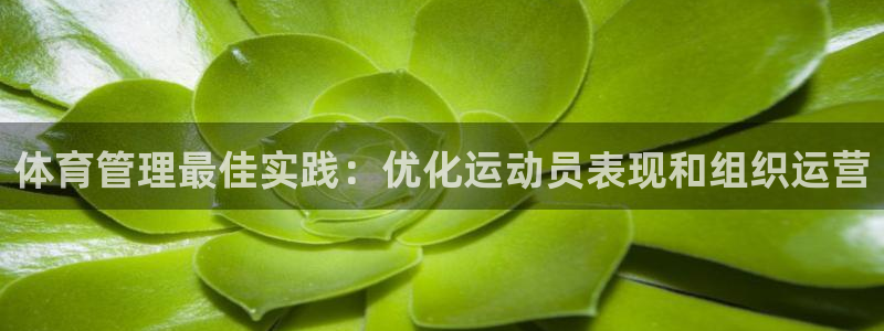 必一体育官方下载入口