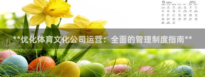 必一体育下载app：