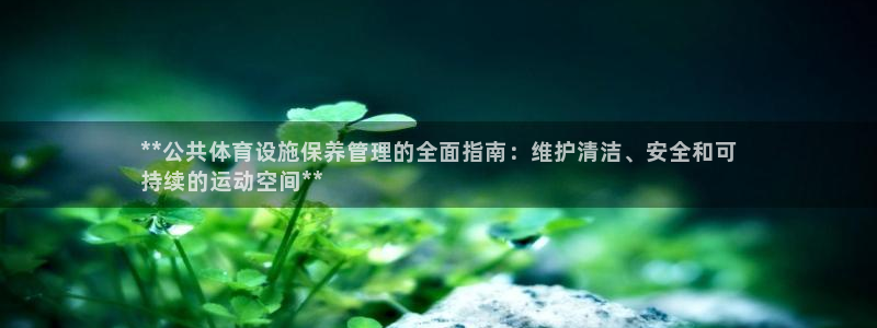 必一体育官网app：**公共体育设施保养管理的全面指南：维护