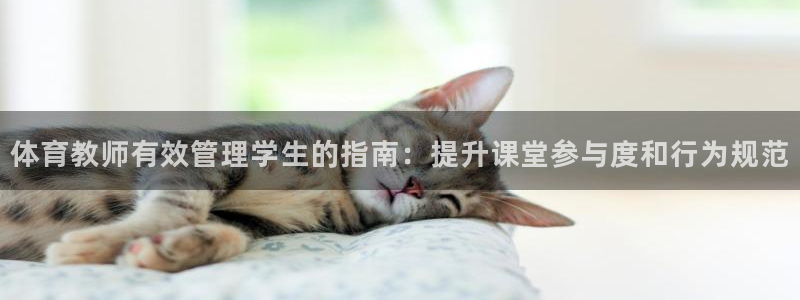 b体育必一下载：体育