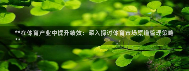 必一体育网页登录版官
