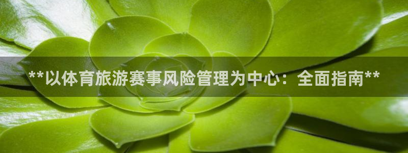 必一体育网页版登录：**以体育旅游赛事风险管理为中心：全面指
