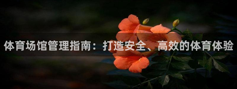 b体育必一运动网页版在线登录入口：体育场馆管理指南：打造安全