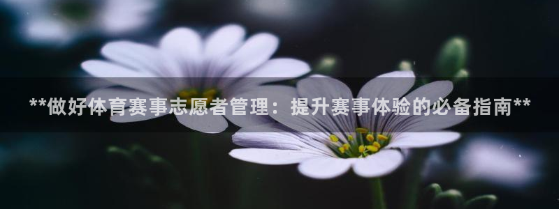 必一体育sportB