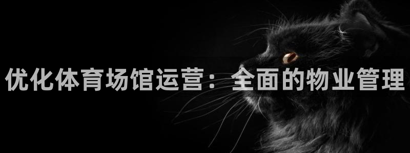 必一体育登陆：优化体