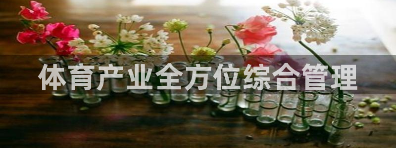 必一体育网址：体育产