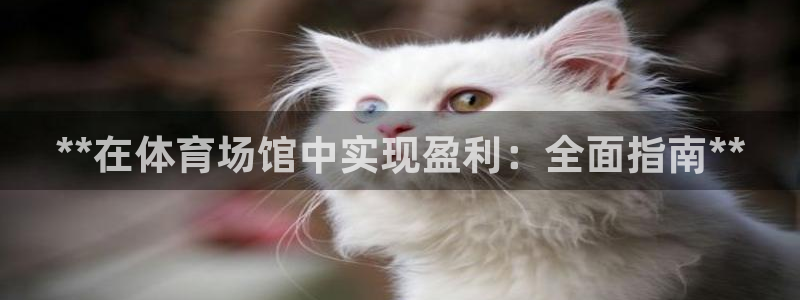 必一体育在线登录：**在体育场馆中实现盈利：全面指南**