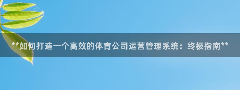 b体育必一下载：**