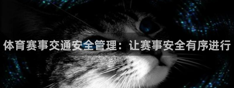 必一运动 b 体育素描版：体育赛事交通安全管理：让赛事安全有