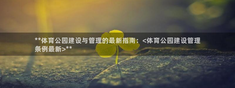 必一体育运动平台官网