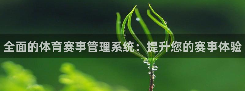 必一体育bsport2023-04-21：全面的体育赛事管理