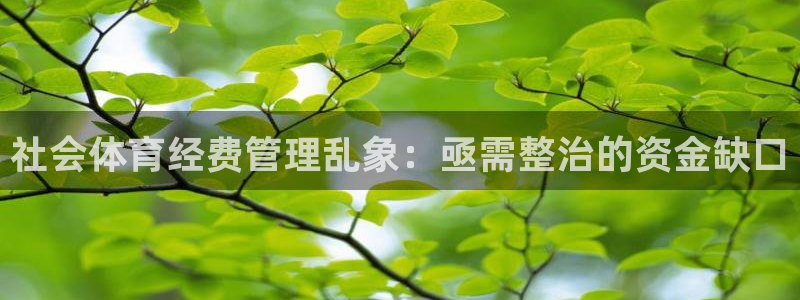 必一体育官网入口：社