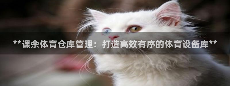 必一运动短信：**课