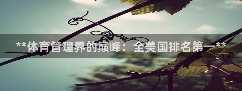 必一运动B-Spor