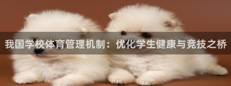 必一体育下载app下载：我国学校体育管理机制：优化学生健康与