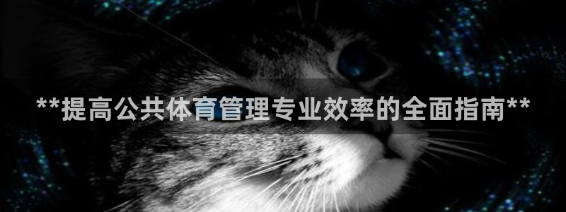 必一体育没了：**提