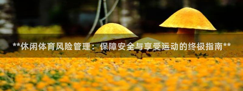 必一体育sport网