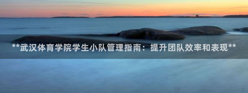 必一体育运动平台官网