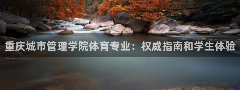 氵必一一厂一：重庆城