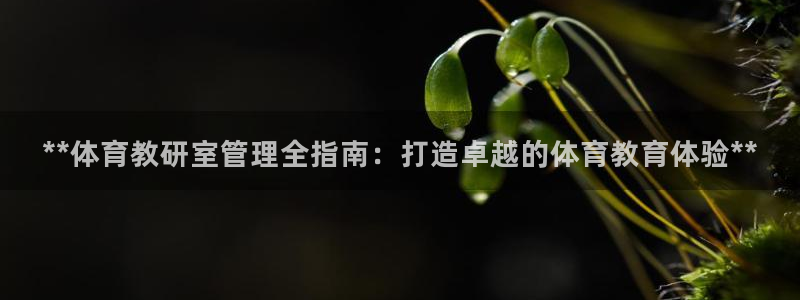 必一运动体：**体育