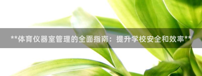 必一运动官网：**体