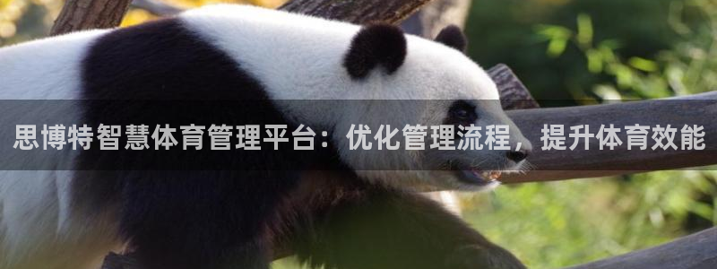 必一运动·(b-sp