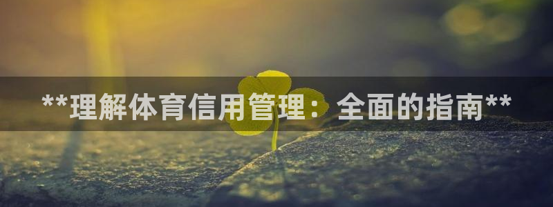 必一体育app官方正