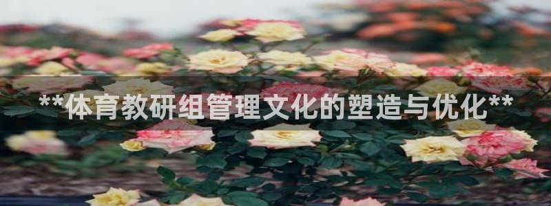 必一体育sport：