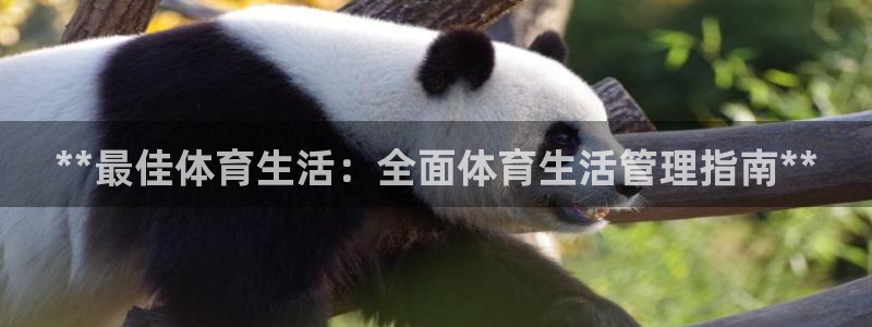 必一体育在线下载：*