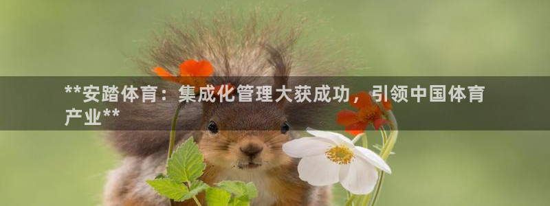 必一体育sport装