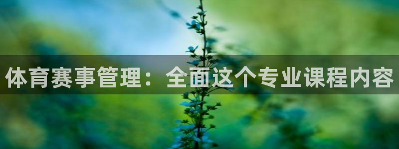 必一体育服下载最新版