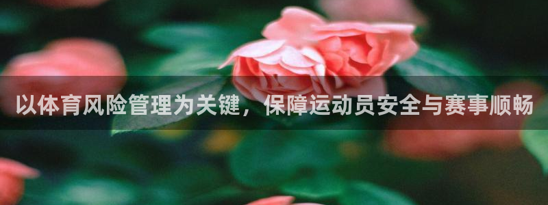 必一体育运动平台官网