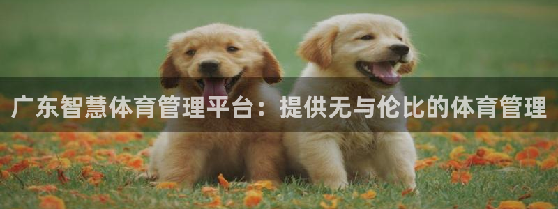 Bsport体育必一