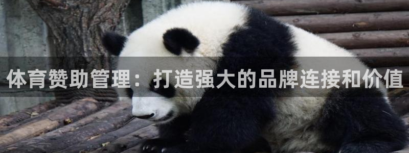必一体育app官方网