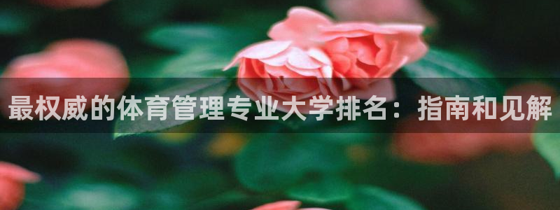 必一体育下载移动版：