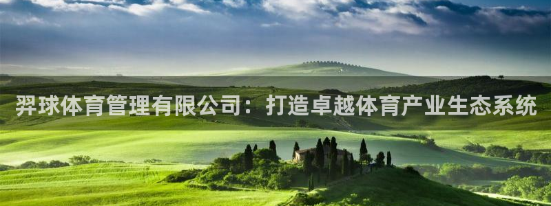 必一体育在线官网：羿