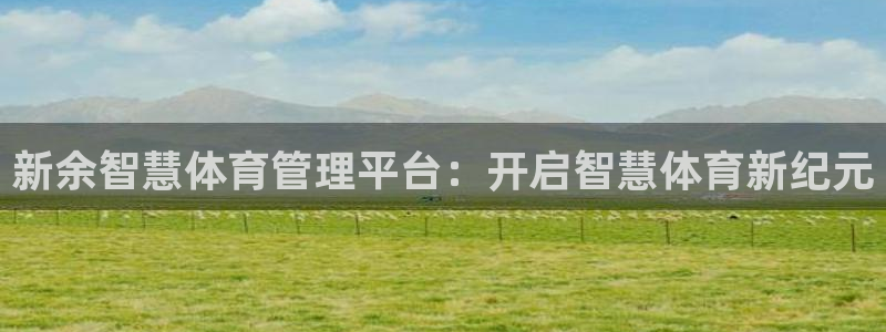 必一体育网页：新余智