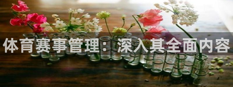 必一体育没了：体育赛