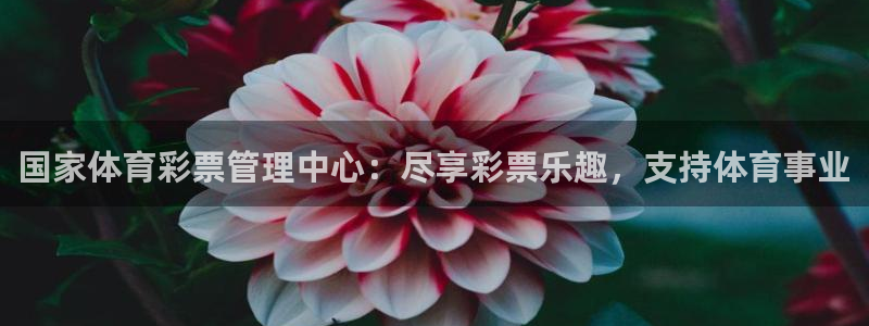 必一体育app下载最