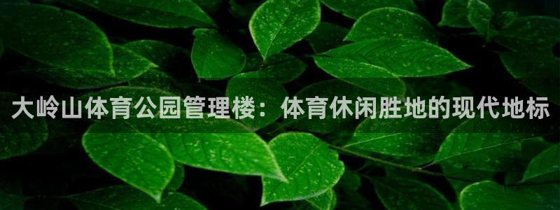 必一体育怎么下载：大