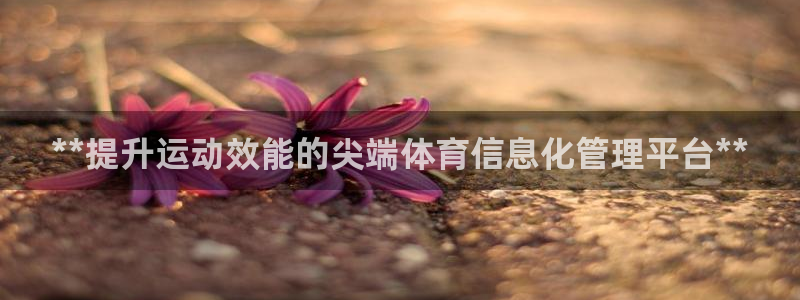 必一体育怎么下载：*